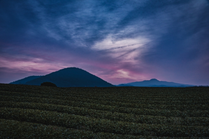 스압) 외국인이 촬영한 한국.jpg | 인스티즈
