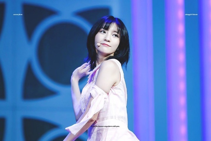데이비니 이미지