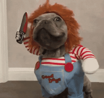 물티슈 변기에 버리면 안되는이유! | 인스티즈