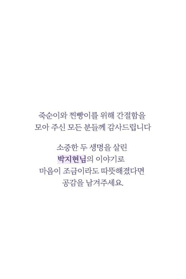 칼에 찔렸던 유기견 죽순이에게 일어난 기적 | 인스티즈