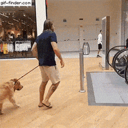 에스컬레이터가 너무 무서운 인절미들 | 인스티즈