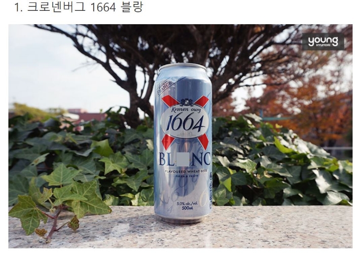 시원한 맥주가 간절한 날.. 한 가지만 고른다면? | 인스티즈