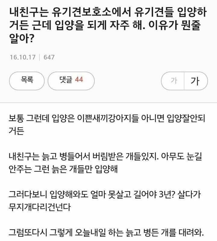 친구가 늙은 개만 입양하는 이유.jpg | 인스티즈