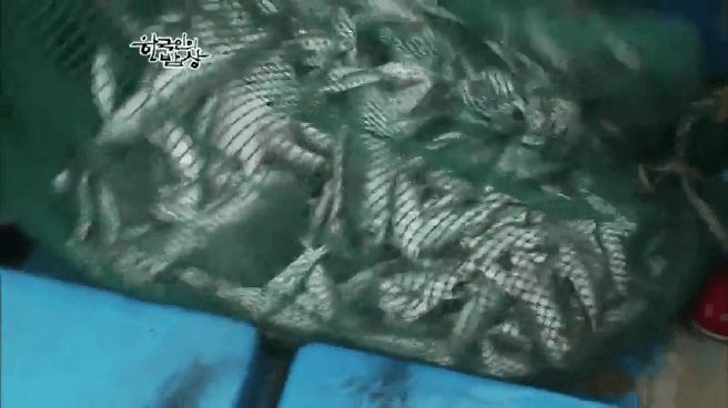 한국인의 밥상 여수 봄바다편 | 인스티즈