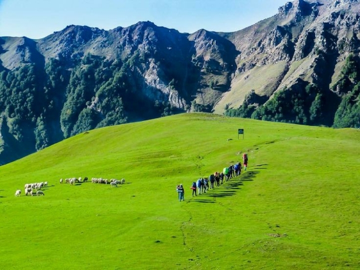 집 콕 세계여행 : 이란 | 인스티즈