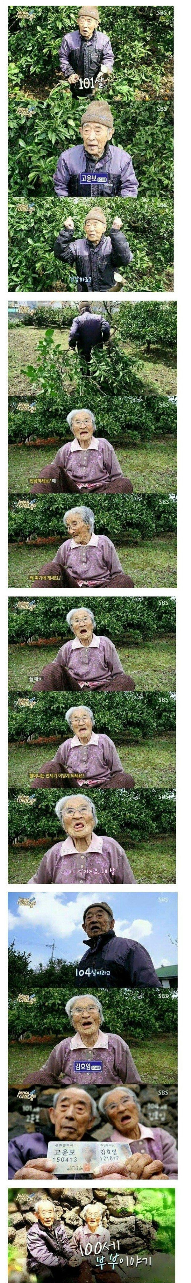 스압) 100세 부부이야기.jpg | 인스티즈