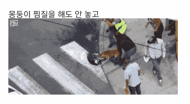 맹견을 가볍게 보시는 분들에게....gif | 인스티즈