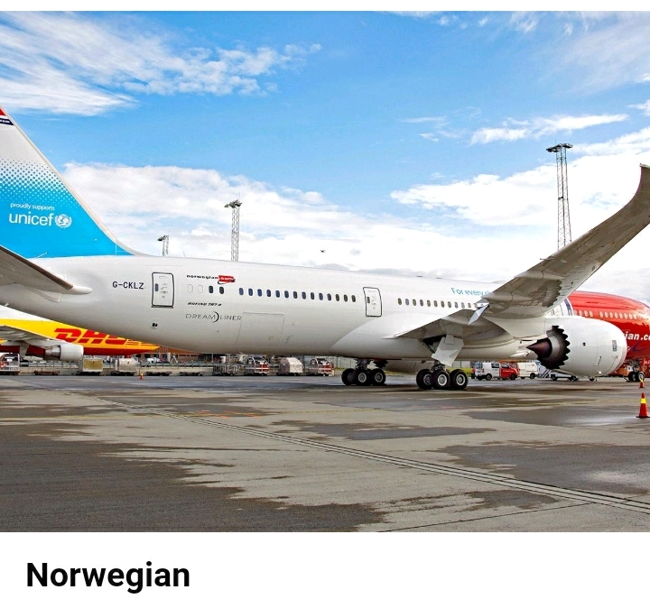 특이한 디자인을 가진 세계 항공사들 | 인스티즈