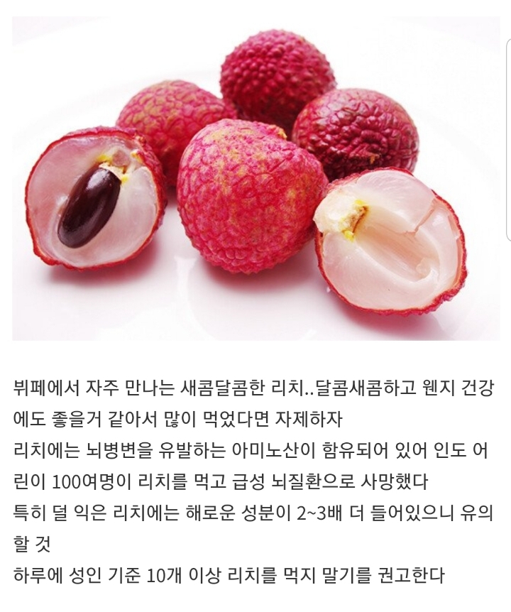 잘못 먹으면 죽는 음식들.jpg | 인스티즈