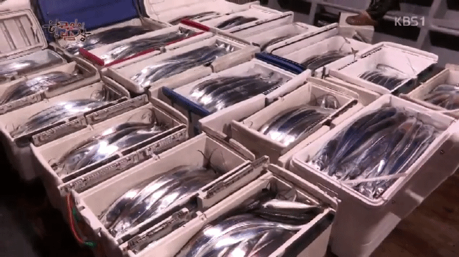 한국인의 밥상 갈치편 | 인스티즈