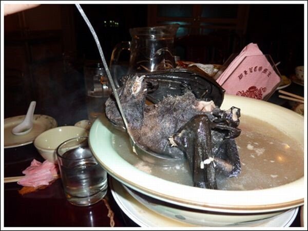 다먹는 중국인 (혐오주의) | 인스티즈