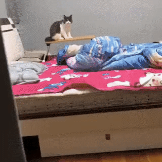 무궁화 꽃이 피었습니다.gif | 인스티즈