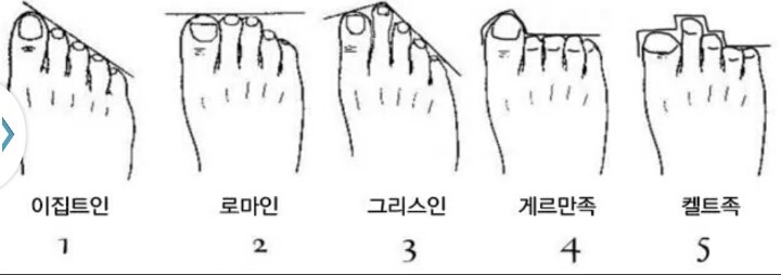 사람마다 다른 발가락 모양.....jpg | 인스티즈