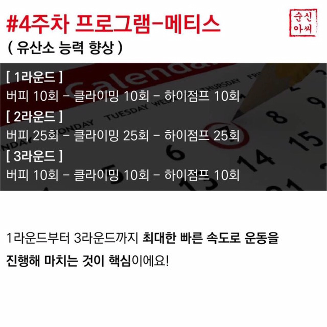 독일에서 만들어진 4주 운동법.jpg | 인스티즈