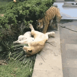 같은 과 신입생 환영회.gif | 인스티즈