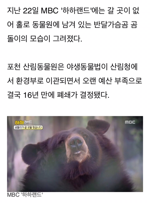 경영난으로 문 닫은 텅 빈 포천동물원에서 홀로 빈 집 지키는 곰돌이 | 인스티즈