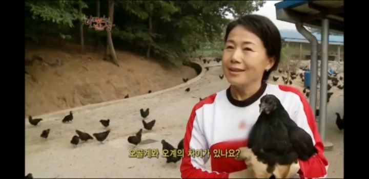 한국인의 밥상 삼계탕편 | 인스티즈