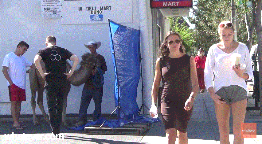 와~ 도끼자국 엄청 크다~ | 인스티즈