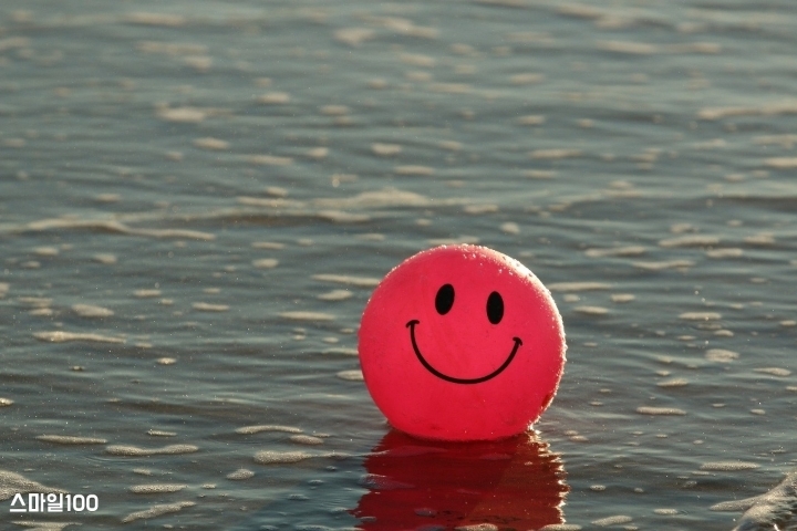 섹스하면 똑똑해진다.jpg | 인스티즈