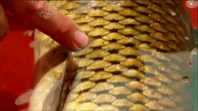 한국인의 밥상 삼계탕편 | 인스티즈