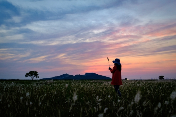 스압) 외국인이 촬영한 한국.jpg | 인스티즈