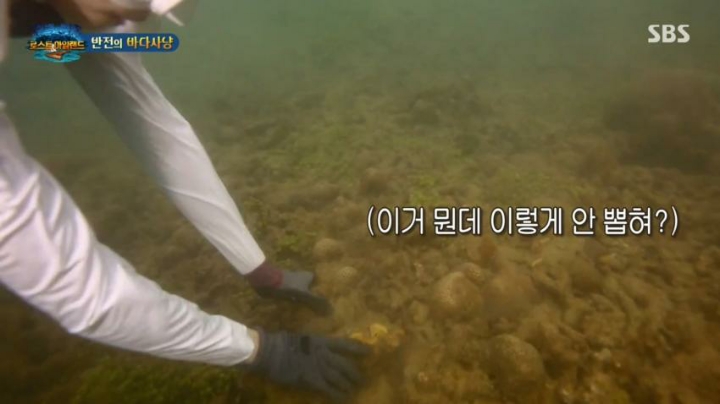 대왕조개잡는 이열음 | 인스티즈