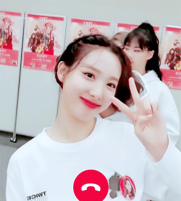 유기견이 많아지는 이유 | 인스티즈