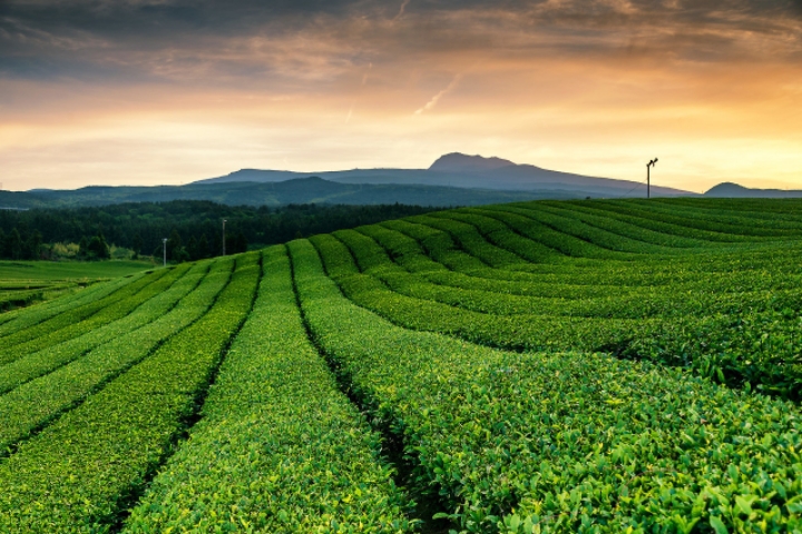 스압) 외국인이 촬영한 한국.jpg | 인스티즈