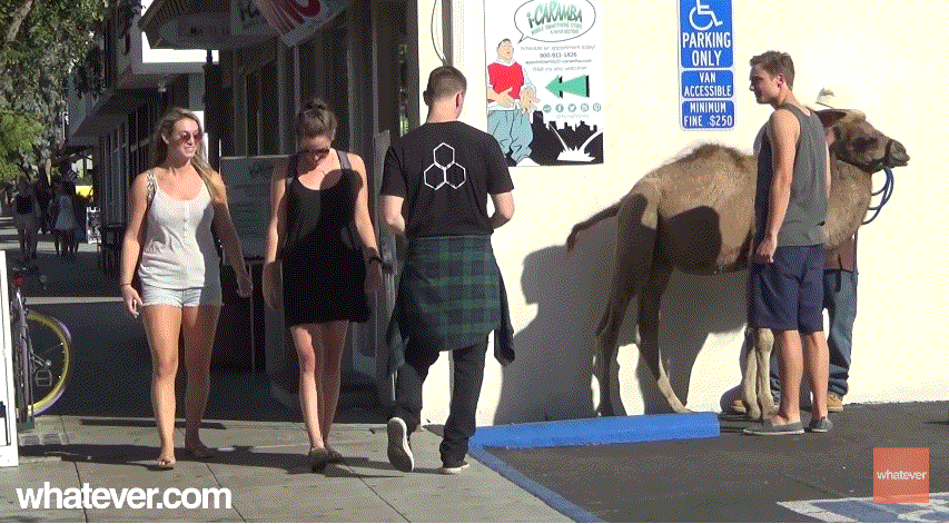 와~ 도끼자국 엄청 크다~ | 인스티즈