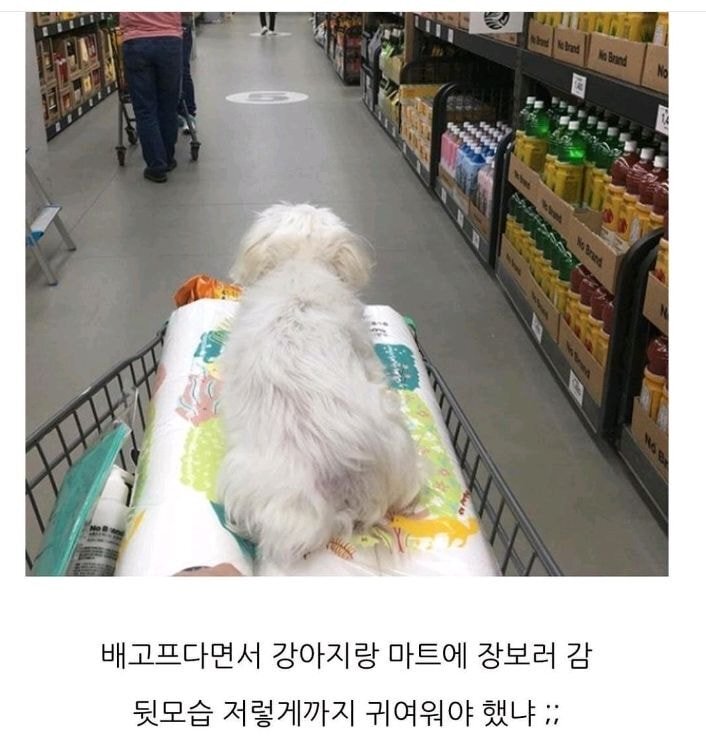 퇴사한 친구의 카톡 | 인스티즈