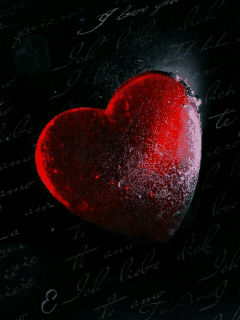 미국에서 스팸이 당하는 취급.jpg | 인스티즈