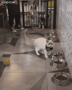 아침부터 모텔로 들어가는 사람들 | 인스티즈