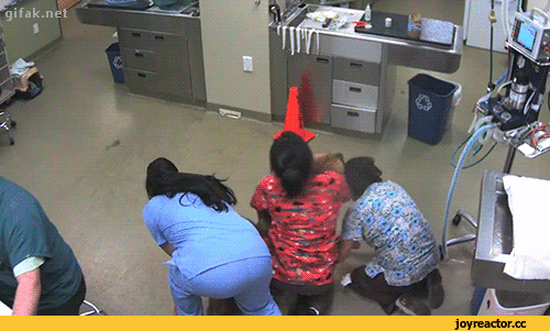 원령공주 실사판.gif | 인스티즈