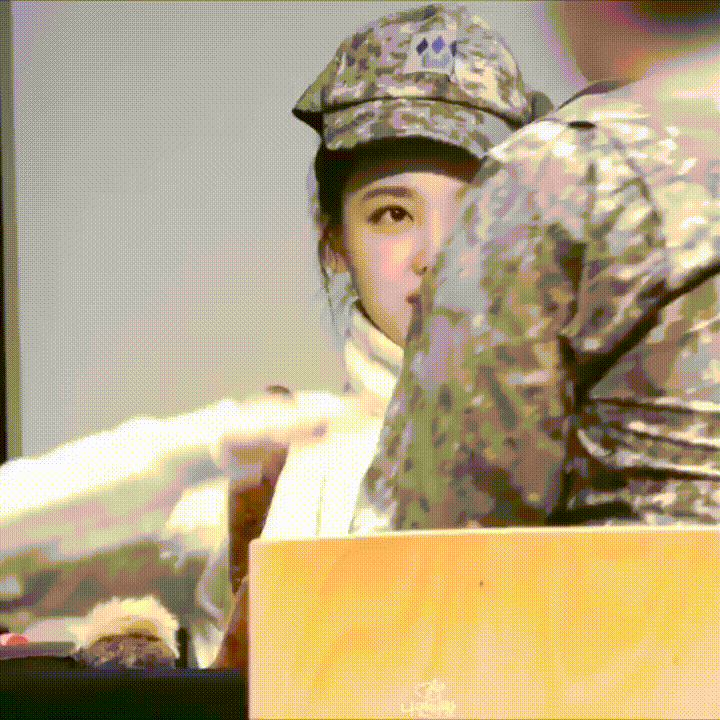 유기견이 많아지는 이유 | 인스티즈