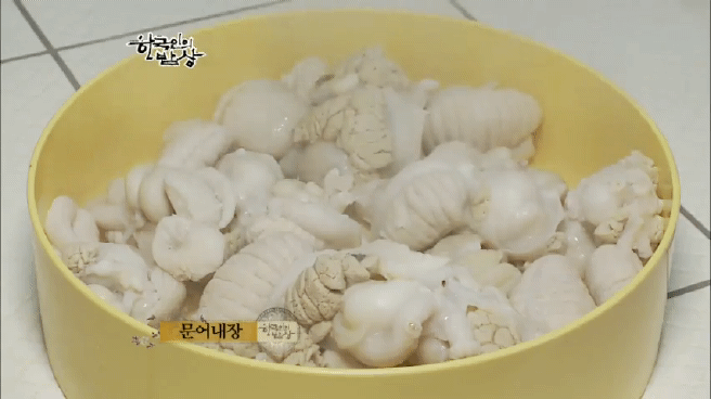 한국인의 밥상 울진 문어편 | 인스티즈