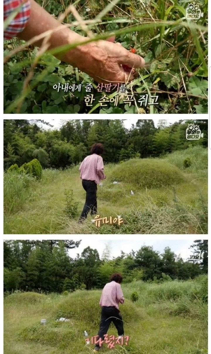 스압) 할아버지의 무덤 로맨스.jpg | 인스티즈