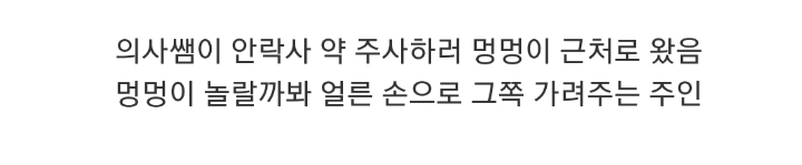 눈물 주의) 안락사 직전 주인과 함께하는 댕댕이.gif | 인스티즈