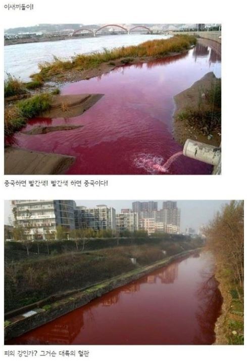 대륙의 강물을 알아보자.jpg | 인스티즈