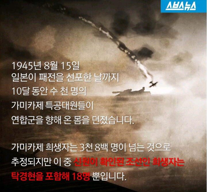 카미카제 이미지