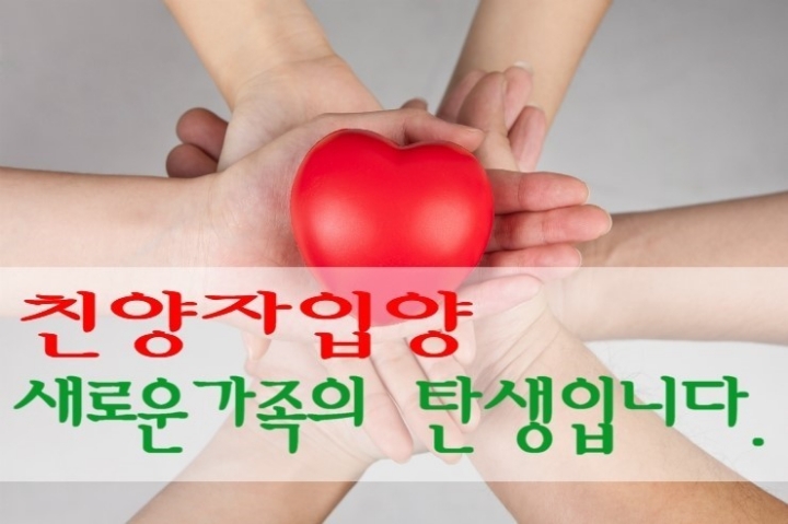 입양해서 키운 중학생 아들 파양하고 싶어요.jpg | 인스티즈