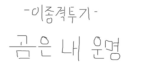 거울 보는 곰돌이들 | 인스티즈