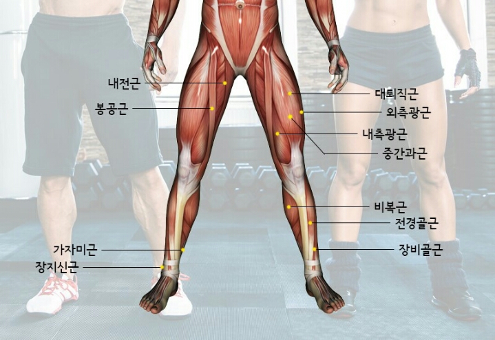 가장 멋지다고 생각하는 근육은? | 인스티즈