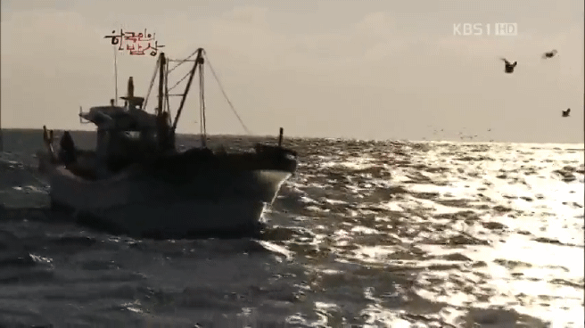 한국인의 밥상 제주 방어편 | 인스티즈