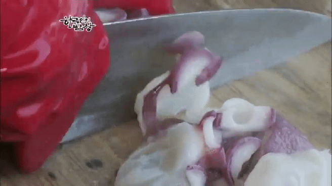 한국인의 밥상 울진 문어편 | 인스티즈