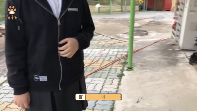 아무도 찾지 않는 믹스견 이야기 | 인스티즈