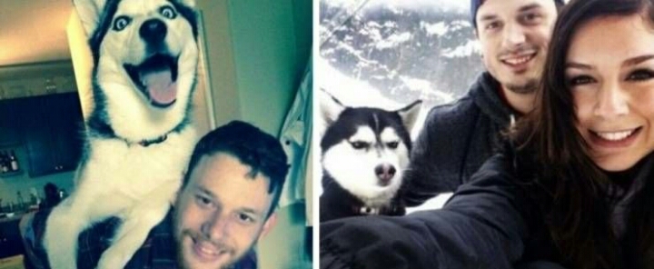 여자친구 생기기 전/후 댕댕이 | 인스티즈