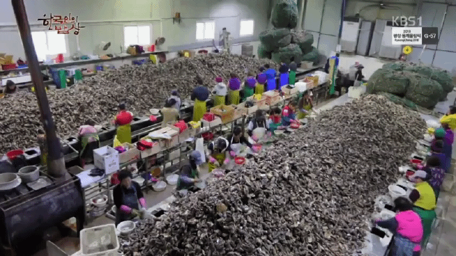 한국인의 밥상 남쪽 바다 해장국편 | 인스티즈