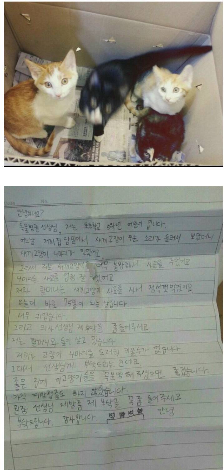 동물병원에 고양이 두고 간 초등학생.jpg | 인스티즈