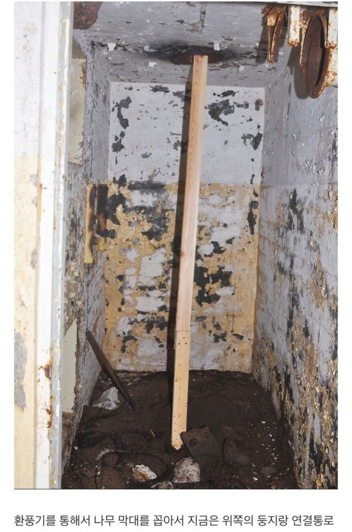 냉혹한 개미의 생존력....JPG | 인스티즈