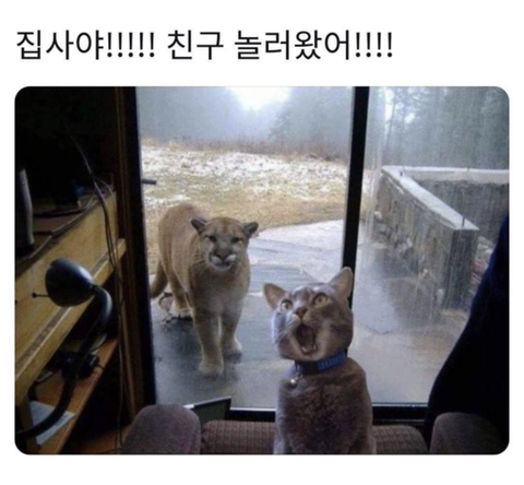 집사야~ | 인스티즈